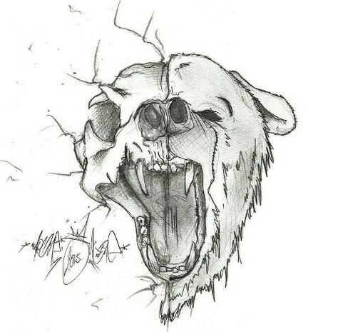 Skeleton Drawing, Bear Sketch, Bear Skull, Sketch Images, Sketchbook Pencil, Half Skull, Scary Drawings, Petit Tattoo, Native Tattoos