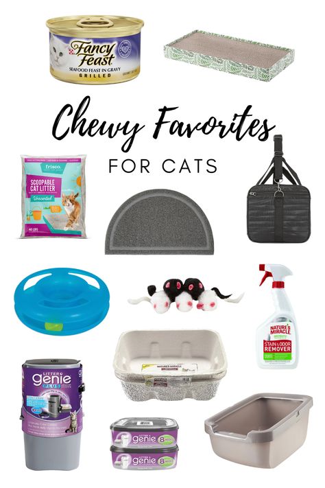 Cat Nessesities, Cat Essentials Aesthetic, Cat Things For Home, Kitten Items, Cat Must Haves, Animals And Pet Supplies, Cat Cafes, Kitten Supplies, Kitten Accessories