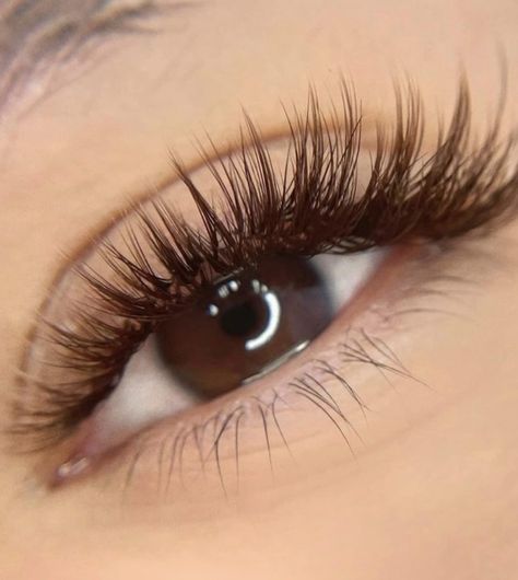 Brown Fake Lashes, Brown Eyelash Extensions Lashes, Eyelash Extensions Brown Eyes, Brown Eyelash Extensions Natural, Brown Eye Lashes Extensions, Black And Brown Lash Extensions, Natural Brown Lash Extensions, Brown Eyelashes Extensions, Lashes 2:1