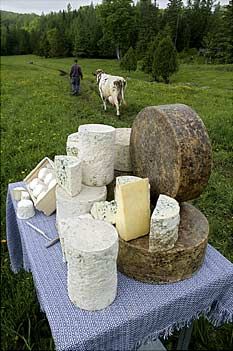 Cheese Cave, Farm Cheese, Keto Cocktails, Cheese Maker, Cheese Pairings, Cheese Shop, Types Of Cheese, Best Cheese, Wine Cheese