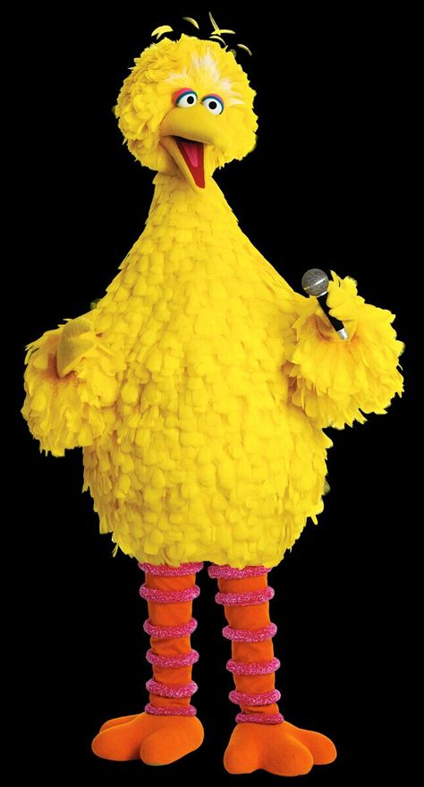 Big Bird Aesthetic, Big Bird Onesie Costume, Da Biggest Bird, Jane Core, Jungle Jims, Big Bird Costume, Beaker Muppets, Muppets Characters, The Muppets Characters