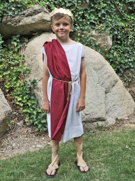 DIY Roman Toga Costume | HGTV >> http://www.hgtv.com/design/make-and-celebrate/handmade/halloween-costume--roman-toga?soc=pinterest Toga Halloween Costume, How To Make A Toga, Toga Costume Diy, Diy Toga, Toga Outfit, Greece Costume, Greek God Costume, Diy Costumes Kids Boys, Roman Toga