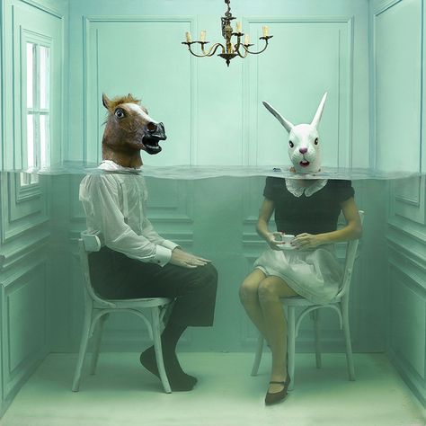 Photographie Art Corps, Surreal Portrait, Surreal Artwork, Surreal Photos, Surrealism Photography, Unusual Art, Surrealism Painting, A Bunny, Animal Heads