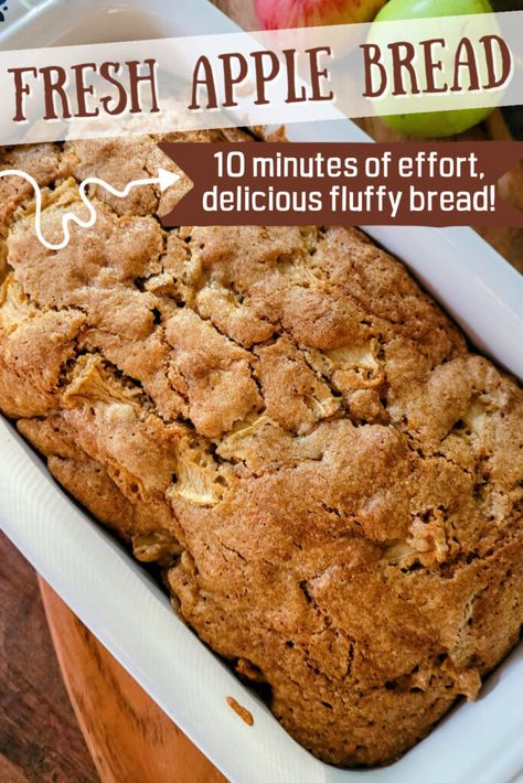 pin Apple Bread Recipe With Shredded Apples, Apple Sweet Bread Recipes, Apple Scrapple Bread Recipe, Homemade Apple Bread Recipe, Apple Bread Made With Oil, Best Fruit Bread Recipes, Easy Sweet Breads Simple, Apple Bread Recipe With Canned Apples, Quick Apple Bread