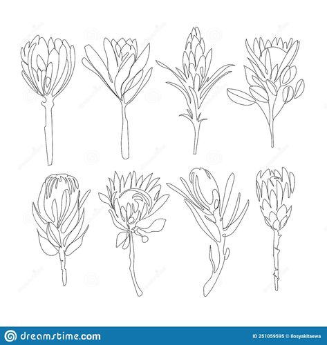 Protea Line Drawing Tattoo, Protea Tattoo Small Simple, Fine Line Protea Tattoo, Protea Line Art, Protea Tattoo Small, Protea Line Drawing, Protea Sketch, King Protea Tattoo, Protea Flower Drawing