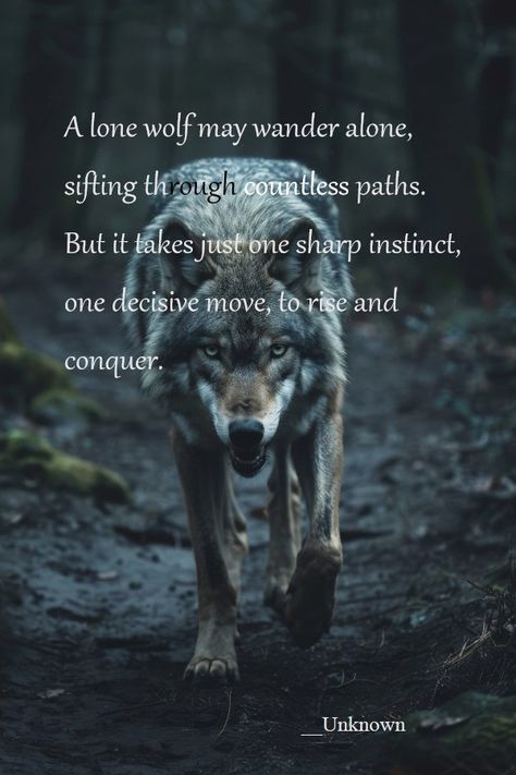 Pins reflecting the strategic nature of the lone wolf. Quotes About Wolves, Black Wolf Aesthetic, Wolf Mentality, Wolf Pack Quotes, Lone Wolf Quotes, The Lone Wolf, Macbook Air Wallpaper, Wolf Quotes, Strong Mind Quotes