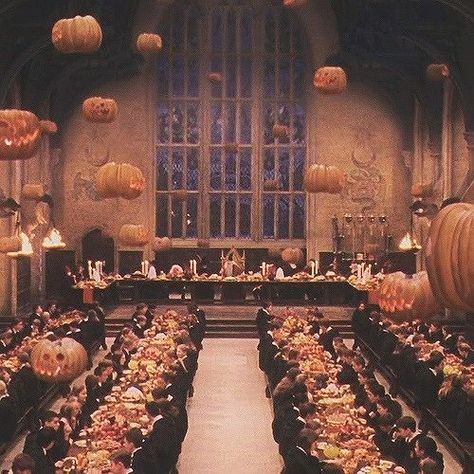 Hogwarts, Pumpkins, Halloween Decorations, The Story, Books Wattpad, Harry Potter, Wattpad, Ceiling, Halloween