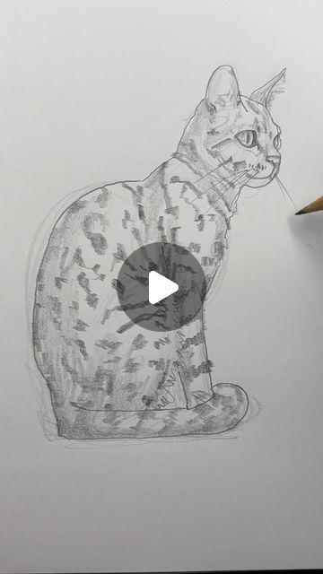 How To Draw Animals Realistic, How To Draw Cats Video, Drawing Ideas Easy Animals, How To Draw A Cat Easy, Cat Sketch Tutorial, How To Draw A Cat, Cat Outline Drawing, Draw A Cat Easy, Realistic Cat Drawing