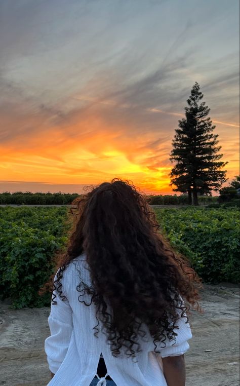 A woman poses before a vibrant orange sunset over the grape vines Faceless Curly Hair Girl, Curly Hair Aesthetic Pictures, Curly Hair Instagram Pictures, Curly Hair Poses Photo Ideas, Curly Hair Wallpaper, Curly Hair Aesthetic Faceless, Curly Hair Pics, Curly Girl Aesthetic, Curly Hair Photography