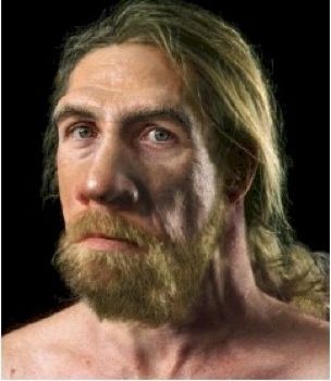 Neanderthal Skull, Homo Heidelbergensis, Forensic Artist, Strong Chin, Homo Habilis, Rh Negative, Prehistoric Man, Mitochondrial Dna, African Ancestry