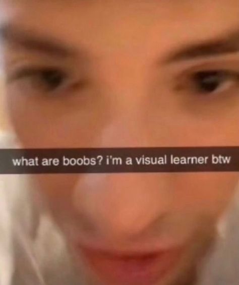 Snapchat Meme, Visual Learner, Mc Video, Dream Video, Imaginary Boyfriend, Minecraft Funny, Dream Friends, Visual Learners, Get Shot