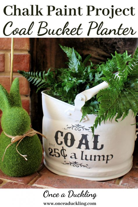 Furniture is not the only thing that can be upcycled with some good old chalk paint! How about this idea of transforming an old coal bucket to a cute planter? A budget find on Market Place and some paint later, and I've got myself a quirky new bargain planter! #chalkpaint #budget #budgetdecor #budgetmakeover #upcycle Coal Bucket Planter, Coal Bucket Ideas Decor, Metal Bucket Ideas, Planter Makeover, Budget Makeover, Old Bucket, Bucket Ideas, Chalk Crafts, Bucket Planters