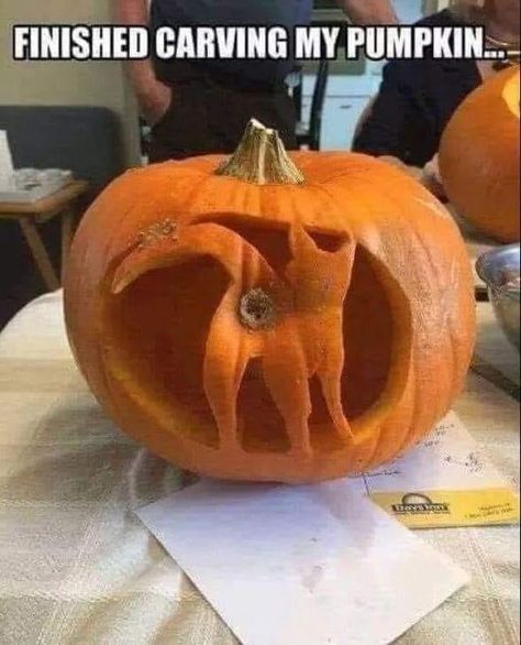 24 Perfect Memes for Having a Good Time - Funny Gallery Labu Halloween, Funny Pumpkin Carvings, Cat Pumpkin Carving, Halloween Gesicht, Cute Pumpkin Carving, Halloween Pumpkin Carving Stencils, Pumkin Carving, Pumpkin Carving Party, Creative Pumpkin Carving