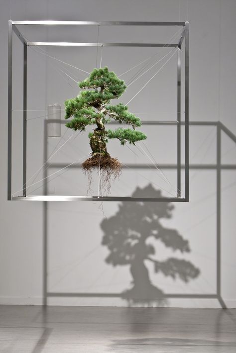 makoto azuma Makoto Azuma, Bühnen Design, String Garden, Bonsai Art, Bonsai Trees, Tree Sculpture, Tree Silhouette, Sculpture Installation, Plant Art