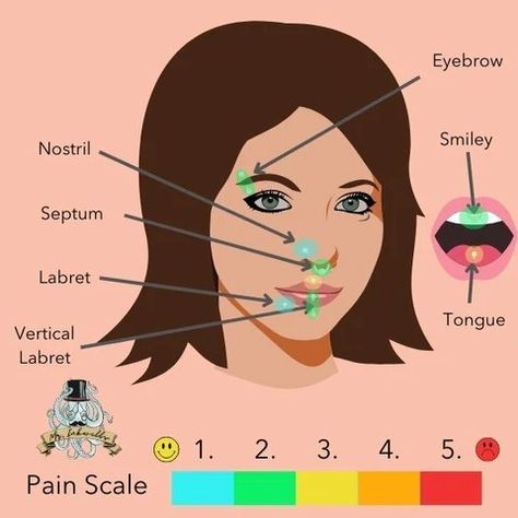 Septum And Labret Piercing, Septum Piercing Pain Chart, Coolest Piercings, Ear Piercings Placement Chart, Septum Labret, Pretty Piercings, Different Ear Piercings, Ear Piercings Chart, Piercing Chart