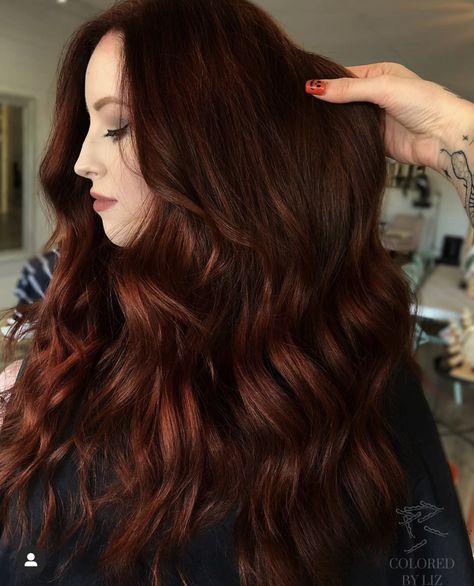 Red Hair Color Brunettes, Dark Red And Brown Hair Color, Dark Redhead Hair, Dark Red Hair Color Ideas For Brunettes, Dark Auburn Hair Balayage, Red Tinted Black Hair, Dark Red Auburn Hair, Brown Hair With Red Balayage, Red Hair Highlights On Brown Hair