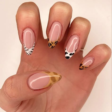 RVG NAIL s STUDIO on Instagram: "Otoño y tendencias 🔥🍁🍂  Inspiraciones 😍" Nails Safari Art Designs, Safari Acrylic Nails, Carin Leon Nails, Nail Art Animal Print French Tips, Animal Print Nail Tips, Pink Safari Nails, Safari Theme Nail Ideas, Summer Animal Nails, Wild Animal Nails