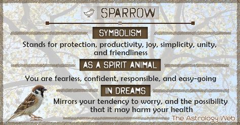 Sparrow Meaning, Bird Symbolism Meaning, Sparrow Symbolism, Bird Signs, Bird Symbolism, Animal Totem Spirit Guides, Baby Sparrow, Small Wave Tattoo, Happy Prince