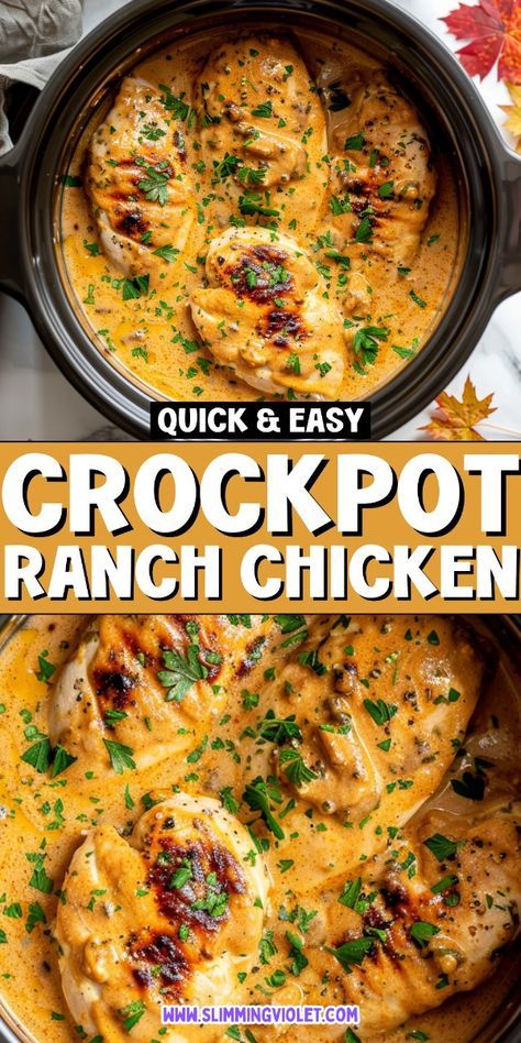 Chicken Crockpot Recipes 8 Hours, Chicken Crockpot Recipes For Two, Dump Chicken Crockpot Recipes, Chicken Pot Roast Crockpot, Chicken Crockpot Dump Recipes, Healthy Chicken Dinner Crockpot, Crockpot Dishes Slow Cooker, Fall Chicken Recipes Crock Pot, Healthy Chicken Crockpot Recipes Easy