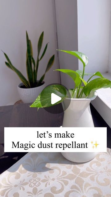 Dust Repellent Spray, Dust Repellant Diy, Diy Dusting Spray, Dust Spray, Dust Repellent, Eggplant Meatballs, Dusting Spray, Diy Leaves, Instagram Diy