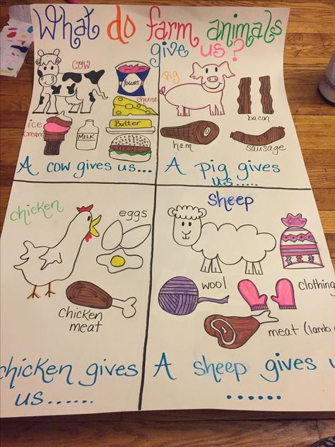 As a part of the NYS kindergarten CKLA Farm unit, I made an anchor that touches upon the four animals mentioned in the unit as well as they foods or things they provide us with. What Do We Get From Farm Animals, Farmer Activities For Kindergarten, Farm For Kindergarten Activities, What Comes From A Farm Preschool, Animal Theme For Kindergarten, All About Farm Animals Preschool, Farm Week Kindergarten, Farm Week Preschool Activities Science, Animals On The Farm Activities