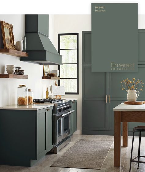 Sherwin Williams Succulent Kitchen Cabinets, Dark Green Cabinets Sherwin Williams, Dark Green Pantry Cabinets, Sherwin Williams Succulent Green Cabinets, Succulent Green Kitchen Cabinets, Sw Succulent Kitchen Cabinets, Farm Fresh Paint Color, Succulent Cabinet Color, Sw 9650 Succulent