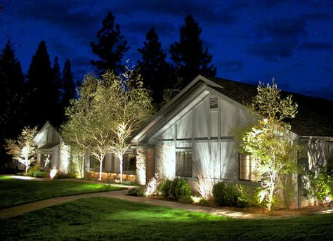 Front Yard Lighting, Blitz Design, Landscape Lighting Design, Outdoor Landscape Lighting, Front Yards, Yard Lights, Garden Landscape Design, Outdoor Lanterns, Outdoor Landscaping