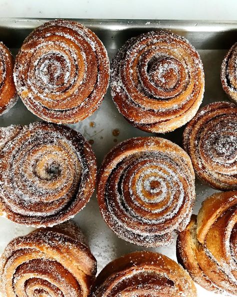 Cinnamon Cardamom Rolls, Cardamom Cinnamon Rolls, Cardamom Rolls, Bread Pattern, Vanilla Bean Blog, Holiday Cheesecake, Cookies Cinnamon, Roll Cheesecake, Cinnamon Roll Cheesecake