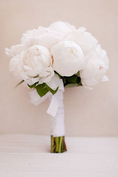 Flower Guide: Peonies | Wedding Planning, Ideas & Etiquette | Bridal Guide Magazine Flower Guide, Bridal Guide, Peony Wedding, Deco Floral, White Bouquet, Bride Bouquets, Bridal Flowers, Flower Bouquet Wedding, Beautiful Bouquet