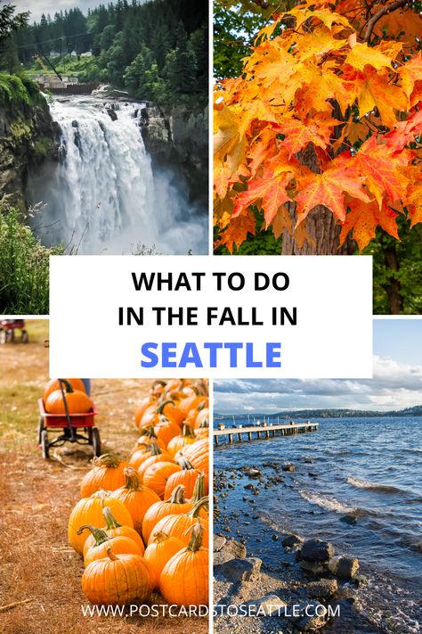 Looking for what to do in Seattle in the fall? Here are some of the best things to do in the fall in Seattle! Seattle in October | Seattle in fall | things to do in Seattle in September | October in Seattle Packing For Seattle In September, Fall In Seattle Outfits, Seattle Washington Things To Do Fall, Seattle In September Outfits, Seattle In The Fall, Outfits For Seattle Fall, What To Wear In Seattle In October, Seattle Fall Outfits, Seattle Washington Things To Do