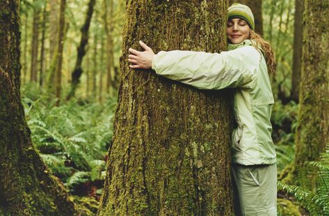 Hugging Tree, People Tree, Forest Bathing, Irish Heritage, Tree Hugger, Photo Tree, Les Sentiments, Pose Reference Photo, Spiritual Journey