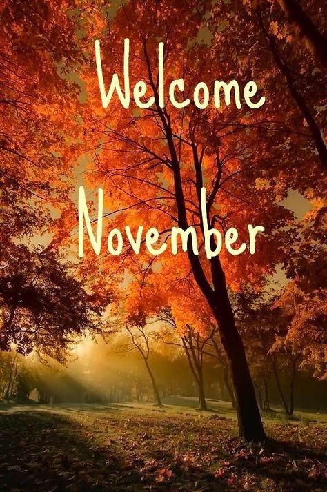 Welcome November Hallo November, November Pictures, November Images, December Images, Neuer Monat, New Month Quotes, Welcome November, December Quotes, November Quotes