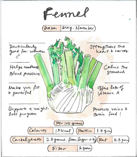 Infographic Fennel Fennel Health Benefits, Fennel Seeds Benefits, Fennel Herb, Benefits Of Fennel, Chinese Medicinal Herbs, Herb Life, Fennel Recipes, Cash Crop, Magical Herbs