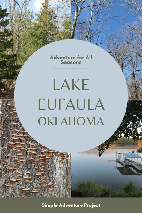 Lake Eufaula Oklahoma, Eufaula Oklahoma, Oklahoma Cabins, Oklahoma State Parks, Oklahoma Travel, Road Trip Map, Trip Destinations, Unique Vacations, Reading Adventure