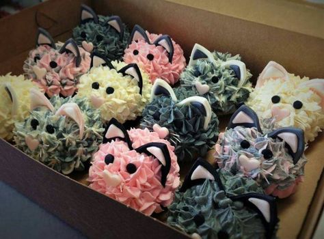 Kitty Cat Cupcakes...these are the BEST Cupcake Ideas! Kitty Cupcakes, Best Cupcake, Kitten Party, Cupcake Tutorial, Cat Cupcakes, Kitten Birthday, Kitchen Fun, Cat Birthday Party, Kitty Party