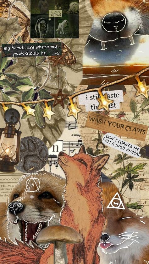 #fox #theriotype #therian #vintage Fox Therian Aesthetic, Therian Poster, Fall Fox Wallpaper, Therian Moodboard, Fox Moodboard, Therian Background, Fox Therian Pfp, Fox Background, Therian Wallpaper