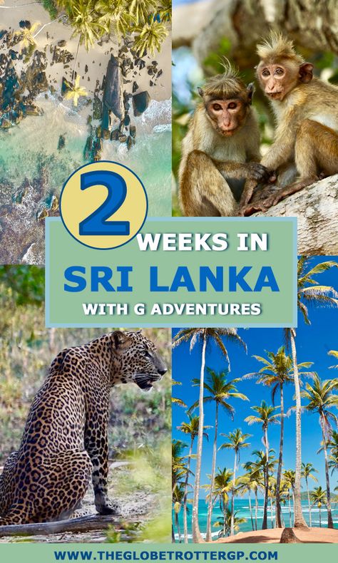 2 Weeks in Sri Lanka with G Adventures: A Group Tour Review - The Globetrotter GP Places To Visit In Thailand, Group Adventure, Asian Travel, Sri Lanka Travel, Destination Ideas, Sailing Trips, Travel Books, Travel Destinations Asia, Asia Travel Guide