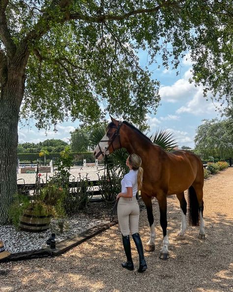 English Rider Aesthetic, English Riding Aesthetic, Dream University, Miss Texas, Texas Girl, English Riding, Insta Post, Hamptons House, Equestrian Life