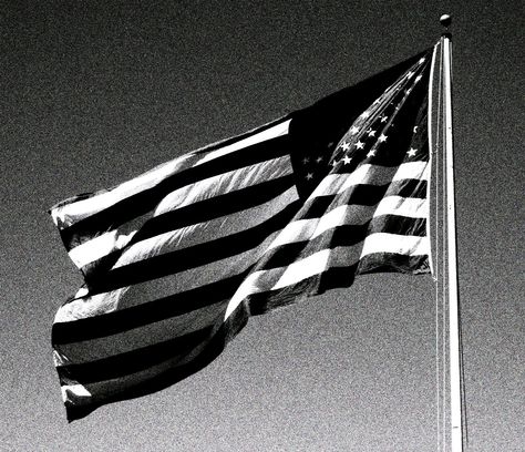 American Flag in Black and White Usa Flag Aesthetic, American Flag Aesthetic, Flag Aesthetic, American Flag Waving, Joining The Navy, Black American Flag, Old Glory, Black And White Aesthetic, Black N White