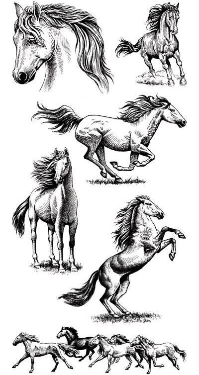 Horse Running Drawing, Running Tattoo, Horse Tattoo Design, Horse Art Drawing, Horse Cards, Western Tattoos, Horse Sketch, Horse Illustration, Horse Tattoo