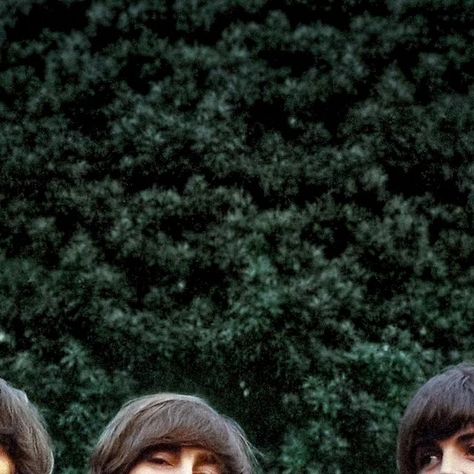 The Beatles Fanpage on Instagram: "The Beatles, Rubber Soul original photo, 1965.

📸 Robert Freeman

#thebeatles #rubbersoul #beatles #johnlennon #paulmccartney #georgeharrison #ringostarr #rock" Robert Freeman, Beatles Rubber Soul, Rubber Soul, Music Clips, Ringo Starr, George Harrison, Original Photo, Paul Mccartney, John Lennon