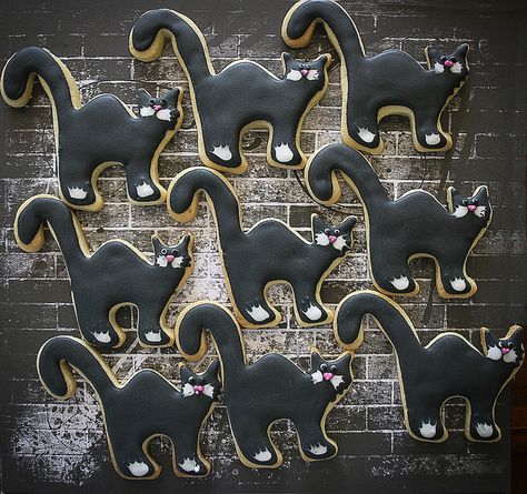 Cat cookies -- SO cute! Black Cat Cookies, Kitty Cookies, Cutout Cookies, Halloween Sugar Cookies, Cat Cookies, Rainbow Cookies, Black Kitty, Fall Cookies, Cookie Party