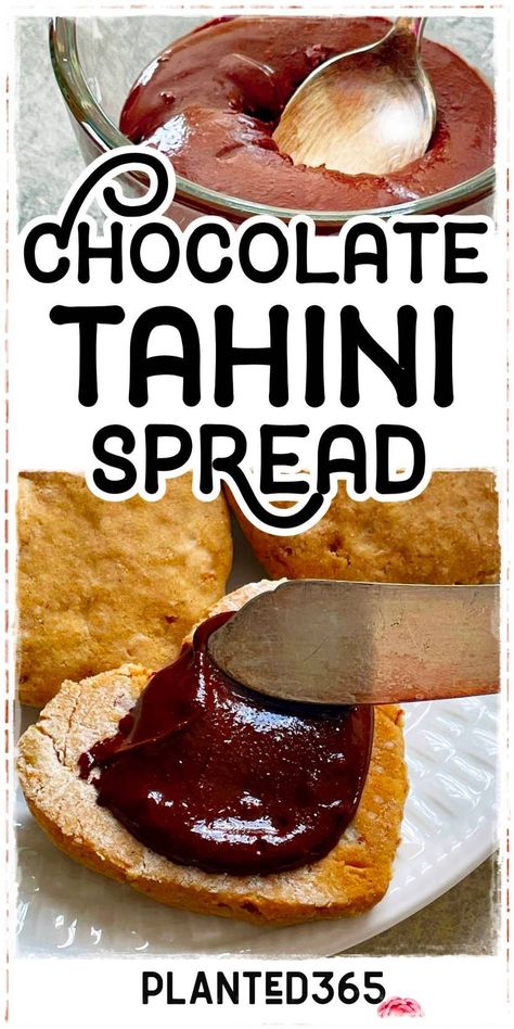 Chocolate Tahini Spread is creamy, rich, chocolatey, and so delicious. It’s a Mediterranean staple that I just discovered recently and decided to make for myself. Tahini Recipe Desserts, Tahini Dishes, Amouse Bouche, Chocolate Tahini, Tahini Recipe, Gluten Free Vegan Recipes, Nut Recipes, Tahini Sauce, Awesome Recipes