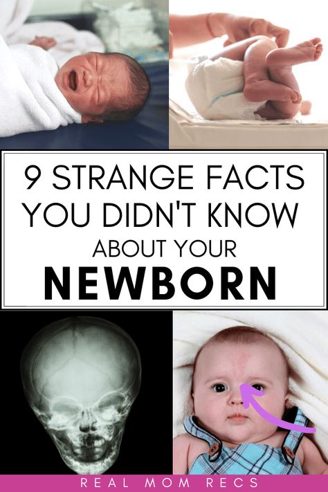 What Newborn Education, Newborn Facts, Newborn Gas, Baby Trivia, Newborn Tips, 4th Trimester, Newborn Baby Care, Strange Facts, Newborn Mom