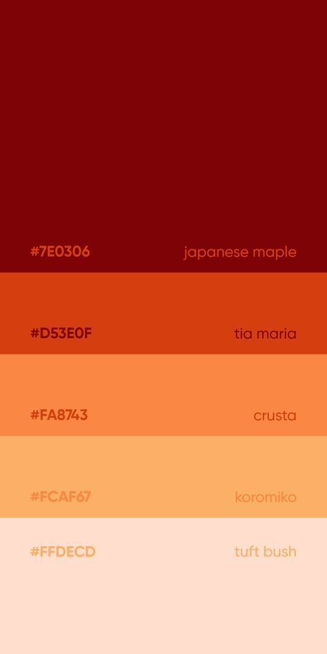 Flat Color Palette, Pantone Colour Palettes, Color Design Inspiration, Hex Color Palette, Color Palette Challenge, Color Schemes Colour Palettes, Stunning Hairstyles, Brand Color Palette, Color Palate