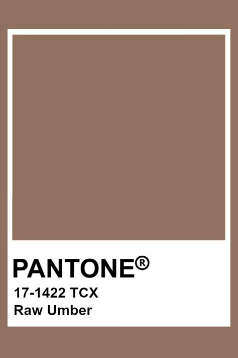 Pantone Raw Umber Pantone Swatches Brown, Raw Umber Color Aesthetic, Beige Pantone Colour Palettes, Pantone Colors Brown, Light Brown Pantone, Autumn Pantone, Earthy Collage, Pantone Brown, Umber Color