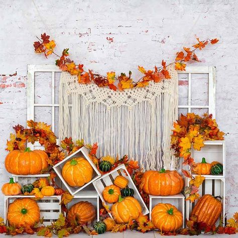 Pumpkin Backdrop, Fall Backdrops, Fall Windows, Cloth Backdrop, Fall Fest, Seamless Backdrop, Brick Design, White Brick, Fall Photoshoot