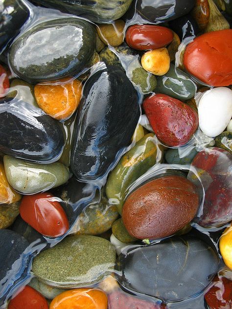 Ikan Koi, Rock And Pebbles, River Rocks, River Stones, Beautiful Rocks, A Level Art, Rocks And Gems, River Rock, Back To Nature