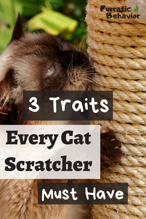 Make Cat Scratching Post, Diy Kitty Scratching Post, Diy Cat Scratching Post How To Make, Homemade Cat Scratcher, Scratching Post For Cats Diy, Cat Scratcher Diy Scratching Post, Wood Cat Scratcher, How To Keep Cats From Scratching Furniture, How To Make A Cat Scratching Post