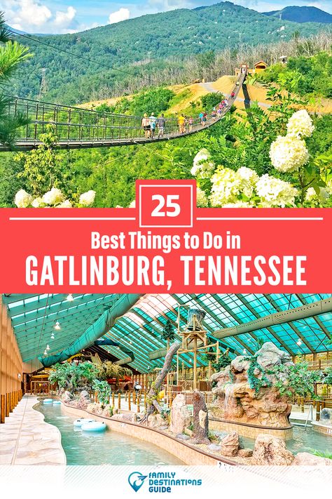 Want to see the most incredible things to do in Gatlinburg, TN? We’re FamilyDestinationsGuide, and we’re here to help: From unique activities to the coolest spots to check out, discover the BEST things to do in Gatlinburg, Tennessee - so you get memories that last a lifetime! #gatlinburg #gatlinburgthingstodo #gatlinburgactivities #gatlinburgplacestogo Tennessee Family Vacation, Gatlinburg Tennessee Vacation, Things To Do In Gatlinburg, Tennessee Road Trip, Smokey Mountains Vacation, Gatlinburg Vacation, Smoky Mountains Vacation, Tennessee Travel, Vacation Locations